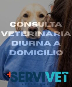 Consulta a Domicilio Diurna - Dr. Cristian Figueroa | Servivet Cali