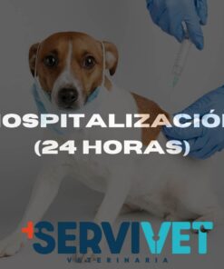 Hospitalización 24 Horas en Servivet