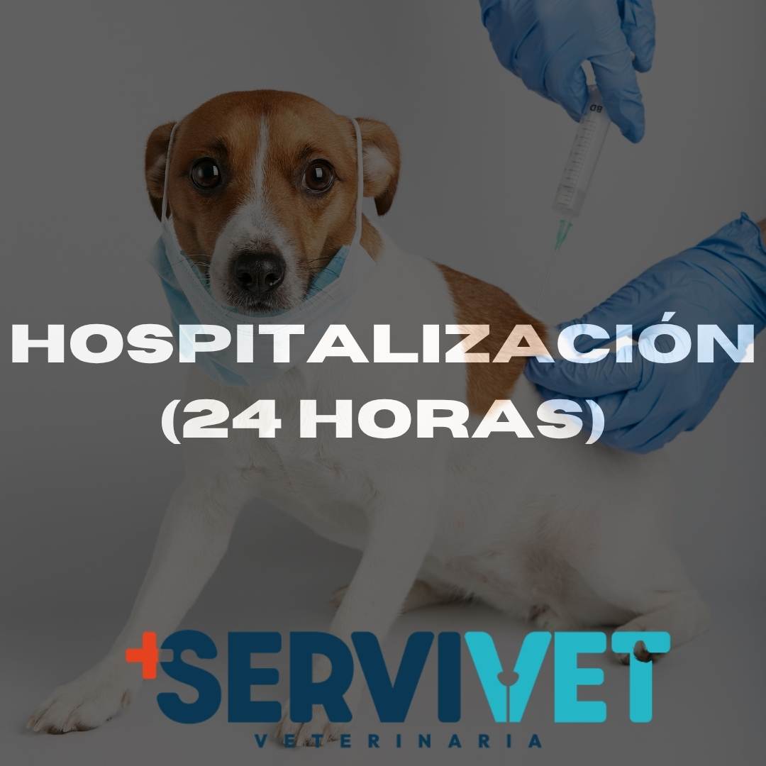 Hospitalización 24 Horas en Servivet