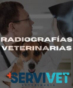 Radiografías en Servivet Cali