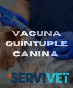 Vacuna Quíntuple Canina