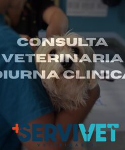 Consulta diurna en Clínica Veterinaria Servivet