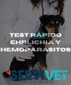 Test Rápido Ehrlichia y Hemoparásitos