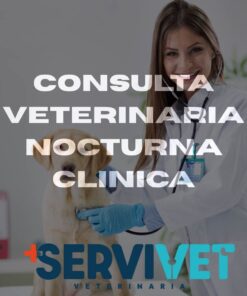 Consulta Veterinaria Nocturna Servivet Cali