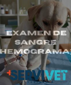 Examen de Sangre (Hemograma) Servivet Cali