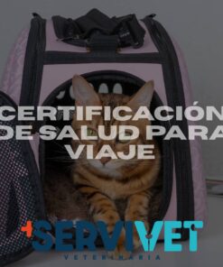 Certificación de salud para Viaje Nacional