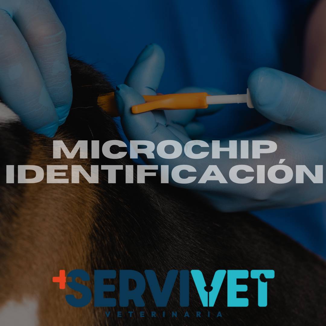 Microchip de identificación